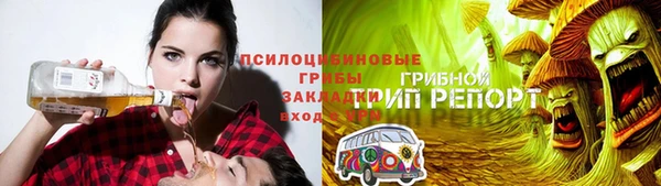 амф Алзамай