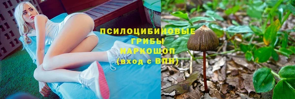 твердый Алексин