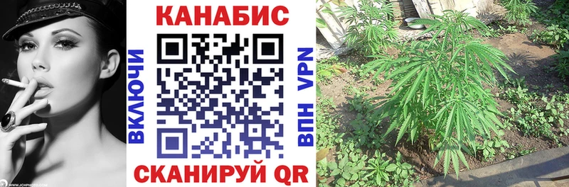 Бошки марихуана семена  Сим 